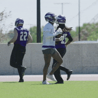 Stefon Diggs Dancing GIF by Minnesota Vikings