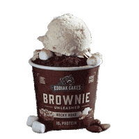 Breakfast Protein Sticker by Kodiak Cakes