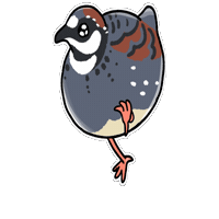 Firuo Sticker