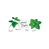 Lemon Balm Sticker