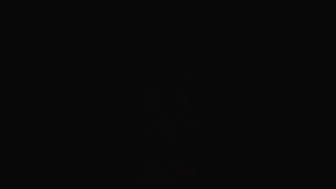 Swan Swanthula GIF by BouletBrothersDragula