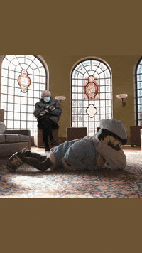 JohnsHopkinsSPH bernie johns hopkins blue jay wamp GIF