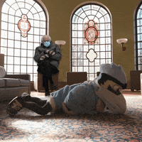 JohnsHopkinsSPH bernie johns hopkins blue jay wamp GIF