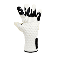 Goalkeeper Gloves Sticker by BU1