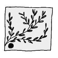 Black And White Frame Sticker