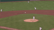 lansing michigan baseball GIF by Lansing Lugnuts