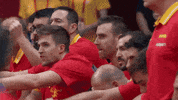 Fiba World Cup 2019 GIF by FIBA