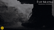 Post Mortem Film GIF by InterCom