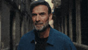 Bud GIF by Budweiser