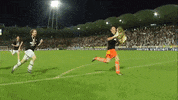 Bundesliga Meister GIF by SK Sturm
