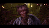 vulture cats memory jennifer hudson cats movie GIF
