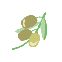 Olive Oil Oliven Sticker by dasboep