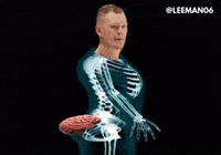 Team Usa Hockey GIF