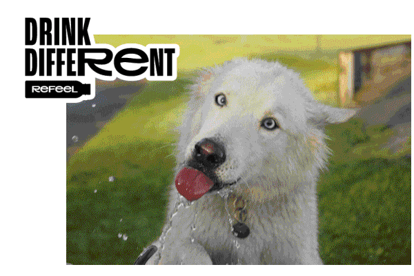 Dog Water Sticker by Refeel