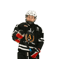 alfahockey хоккей хоккеист альфа хоккейспб Sticker