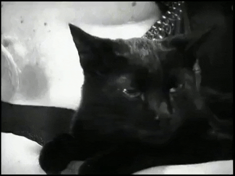 sonic youth 90s GIF