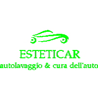 Car Detailing Sticker by Esteticar