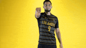 Cal State La Soccer GIF by Cal State LA Golden Eagles