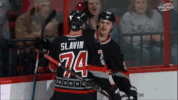 hockey goal GIF by Carolina Hurricanes