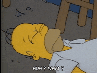 Season 1 GIF by The Simpsons