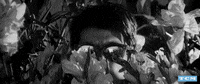 Classic Film Yokohama GIF by Turner Classic Movies