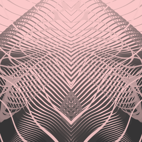 GIF by Borrachas