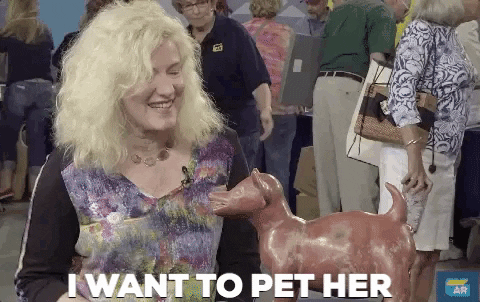 love dogs dog GIF by ANTIQUES ROADSHOW | PBS