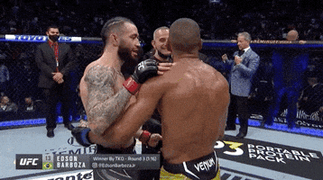 Edson Barboza Sport GIF by UFC