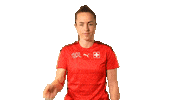 Switzerland Wtf Sticker by Swiss Football Association