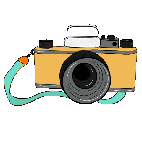 Film Camera Photography Sticker