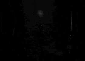 Film Blinking GIF