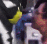 Urshifu GIF