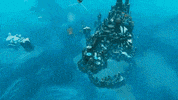 GIF by Wired Productions