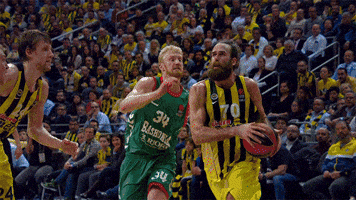 euroleague basketball wow GIF by EuroLeague