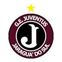 gejuventusjaraguadosul juventus juve jaraguadosul molequetravesso Sticker