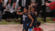 lets go yes GIF by WNBA