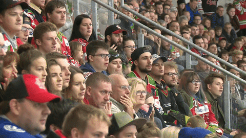 ice hockey GIF by Cardiff Devils