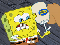 season 8 GIF by SpongeBob SquarePants