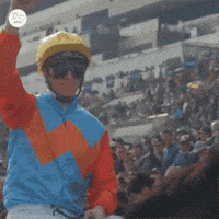Zac Purton Kyr GIF by World Horse Racing