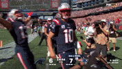 Football Celebration GIF by New England Patriots