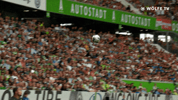 Soccer Bundesliga GIF by VfL Wolfsburg