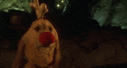 Jim Carrey Dog GIF by filmeditor