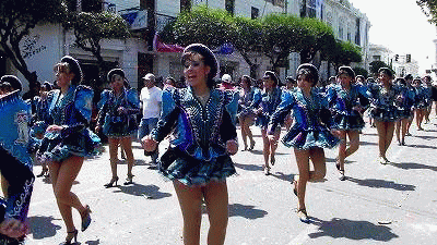 nekoshicesar giphyupload GIF