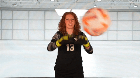 Daytonsoccer GIF by Dayton Flyers