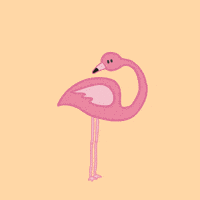 Happy Pink GIF by Ellie the Ellie