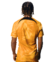 Fifaworldcup Simons Sticker by OnsOranje