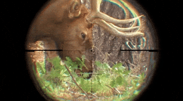 Season 2 Hunting GIF by Graves