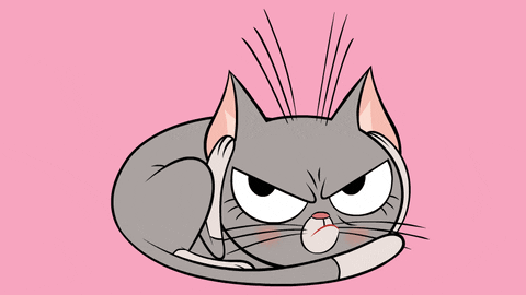 Angry Cat GIF by ZIP ZIP
