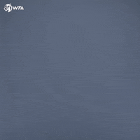 Walk In Hello GIF by WTA