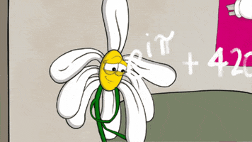 Confused Animation GIF by PettySnacks